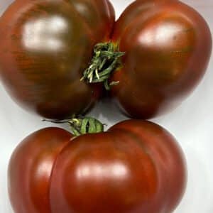 Paul Robeson Tomato Seeds Heirloom Organic