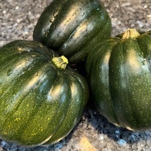 Table Queen Acorn Winter Squash Seeds | Heirloom | Organic