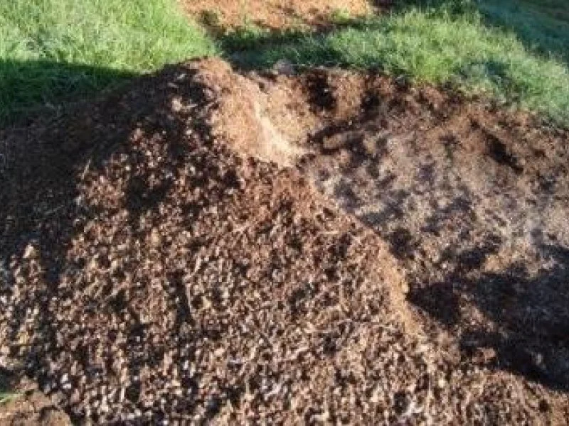 Donkey Manure as Organic Fertilizer